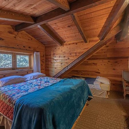 Forest Cabin 3 Bear'S Den Payson Esterno foto