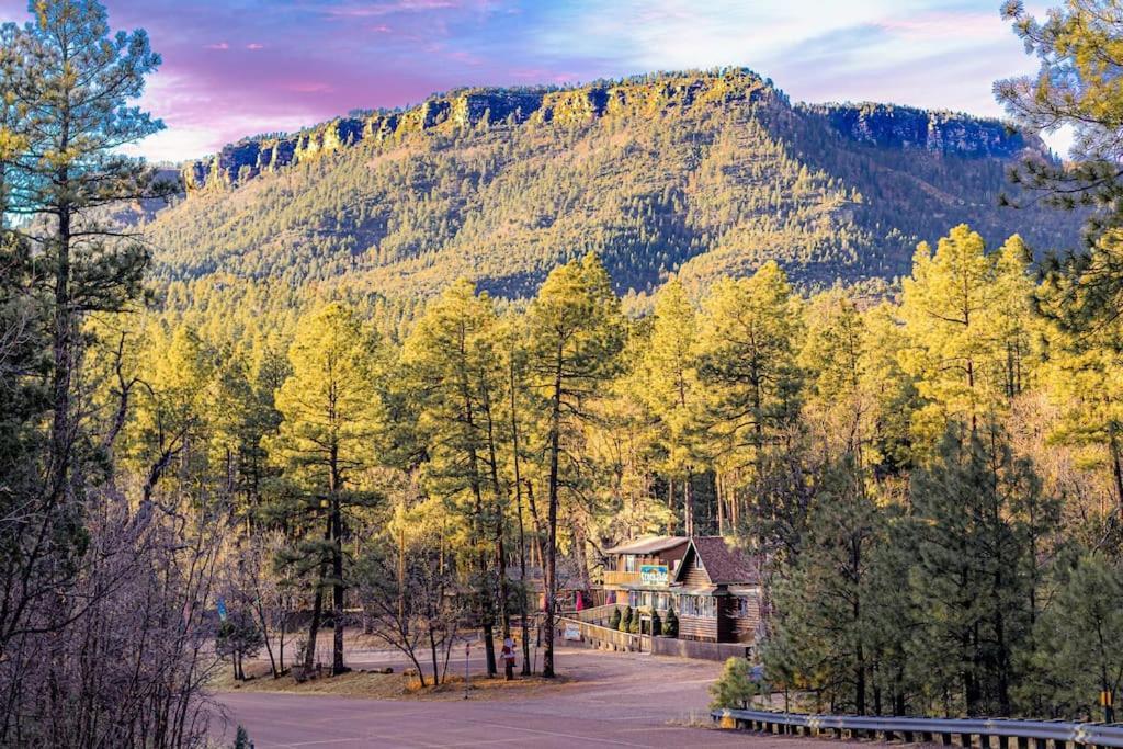 Forest Cabin 3 Bear'S Den Payson Esterno foto